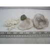 Image 3 : SM. CONTAINER OF SHELLS & CRYSTALS