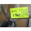 Image 4 : DEER HEAD W/ANTLERS