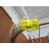 Image 3 : DEER HEAD W/ANTLERS