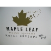 Image 2 : MAPLE LEAF POWER SYSTEM MOOSE 48V 280H - POWER BANK SOLAR STORAGE SYSTEM
