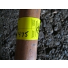 Image 4 : PAIR OF OARS