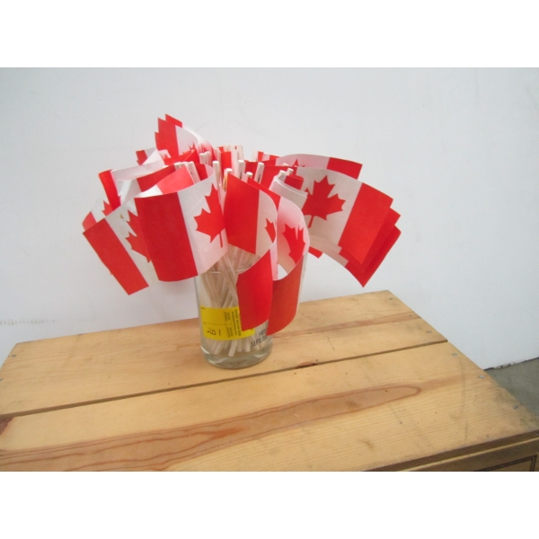 GULF GLASS MUG & CANADIAN FLAGS