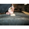 Image 4 : NEW MICHELIN TRUCK TIRE - 11R24.5