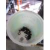 Image 6 : MISC. SCREWS, ETC.