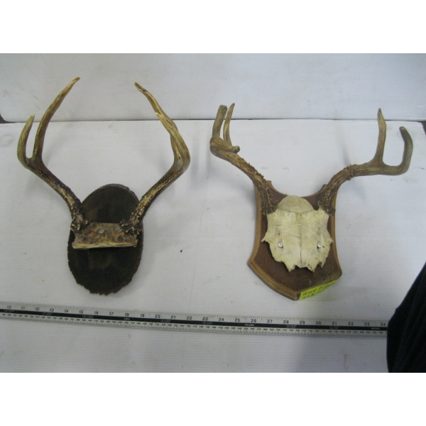 2 SETS OF DEER HORNS ON PLAQUES