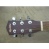 Image 5 : MADERA 6 STRING ACOUSTIC GUITAR W/CASE