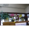 Image 1 : 5 FLOWER POTS W/ARTIFICIAL FLOWERS