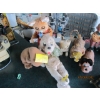 Image 1 : 6 FIGURINES