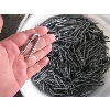Image 3 : PAIL OF BARBED STAPLES
