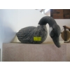 Image 1 : GOOSE DECOY