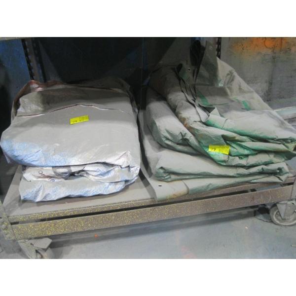 PLASTIC TARPS