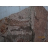Image 3 : BOX OF FOSSIL TYPE STONES