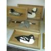 Image 4 : FRAMED WOODEN DUCKS, GEESE & FISH