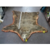 Image 1 : MOUNTED BROWN BEAR HIDE WITH HEAD MOUNT