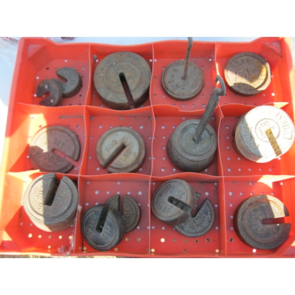 TRAY W/ASST. PLATFORM SCALE WEIGHTS