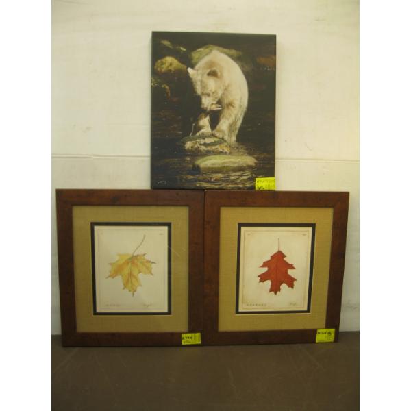 2 FRAMED LEAF PICTURES & BEAR & FISH CANVAS PICTURE