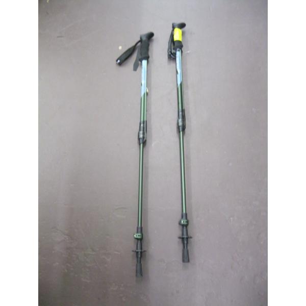 PAIR OF EXTENDABLE WALKING POLES