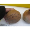 Image 4 : 4 POTTERY VASES