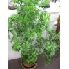 Image 3 : ARTIFICIAL PLANT