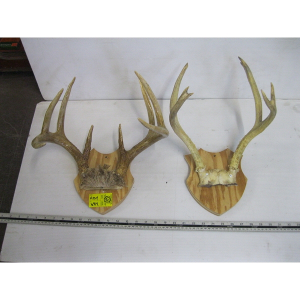 2 SETS OF DEER HORNS ON PLAQUES