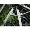 Image 3 : 2 STAINLESS STEEL TANK LID LIFTERS