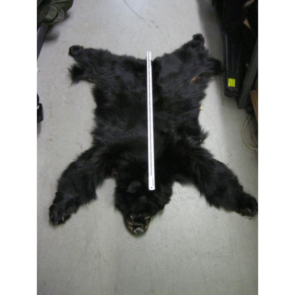 TANNED BLACK BEAR HIDE