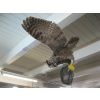 Image 2 : MOUNTED OWL