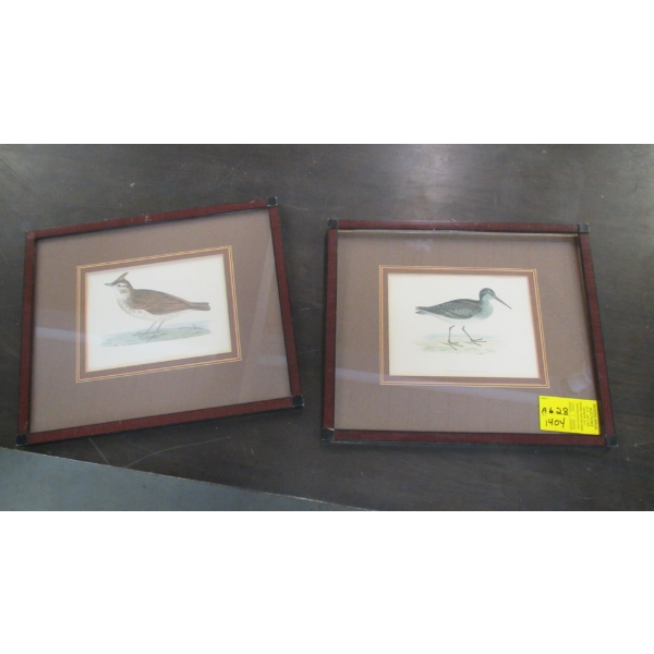 2 FRAMED PRINTS OF BIRDS
