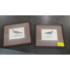 Image 1 : 2 FRAMED PRINTS OF BIRDS