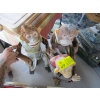 Image 2 : 3 MONKEY FIGURINES