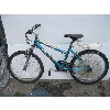 Image 1 : FREEDOM 21 SPEED LADIES MOUNTAIN BIKE