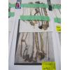 Image 3 : 4 SHEETS OF ASST. NECKLACES