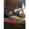 Image 1 : 5 DOWNRIGGER WEIGHTS