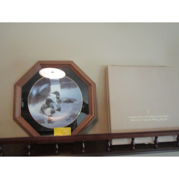 2 COLLECTOR PLATES