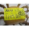 Image 3 : 2 WOODEN FIGURINES - CRAB & SCORPION