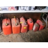 Image 1 : 6 FUEL CANS