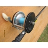 Image 3 : BLACK FISHING REEL W/NEW PILOT ROD