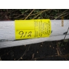 Image 3 : 24' ALUMINUM EXTENSION LADDER