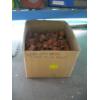 Image 1 : ASST. CEMENT PLUGS
