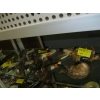 Image 1 : CHALKWARE & CERAMIC DUCKS