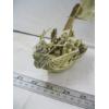 Image 2 : JAPANESE TAKARABUNE TREASURE SHIP - 7 LUCKY GODS - CELLULOID VINTAGE