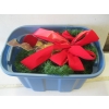 Image 2 : DECORATIVE CHRISTMAS ITEMS & BIN OF ITEMS