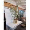 Image 1 : ARTIFICIAL PLANT W/GOLD PLANT POT