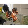 Image 1 : SPRING HORSE
