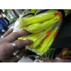 Image 2 : 4 NEW PIONEER BRAND XL HIGHVIS ZIPPER FRONT SAFETY VESTS