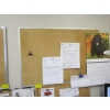 Image 1 : 2 CORKBOARDS