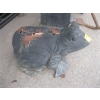 Image 1 : CAST IRON FROG