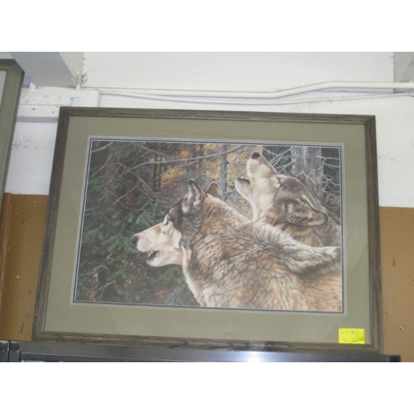 FRAMED WOLF PRINT BY ANDREW KISS