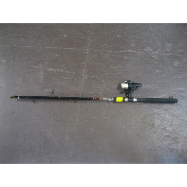 SPINNING ROD