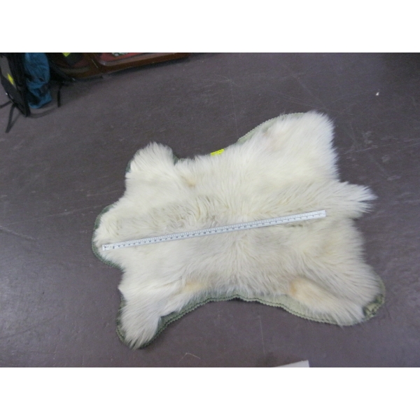 TANNED MOUNTAIN GOAT HIDE